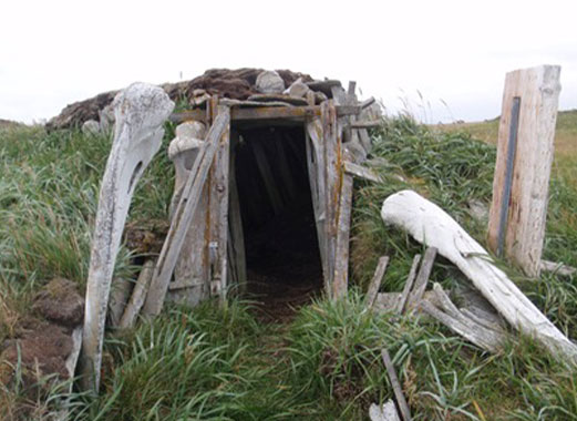 Let’s Make a Sod House