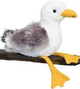 Introducing Herring Gulls