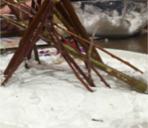 Making Animal Tracks