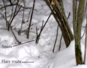 Finding Routes & Tracks