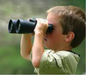 Searching for Mammals