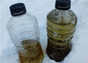 Collecting Life in the Water